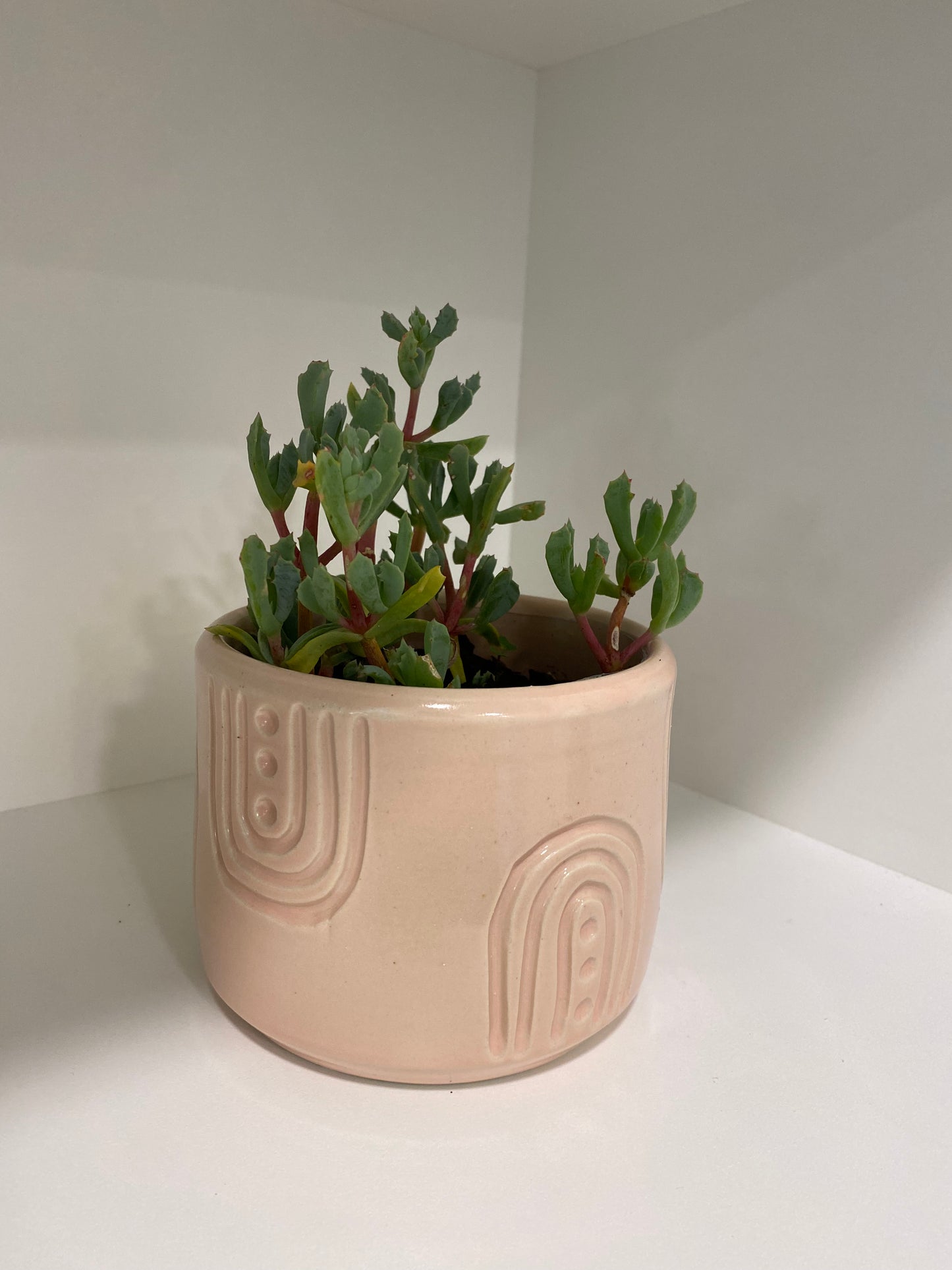 Rainbow planter